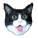 :omgyes: Slack emoji