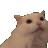 cat_scream