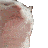 catjam Slack emoji