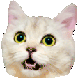catscroll Slack emoji