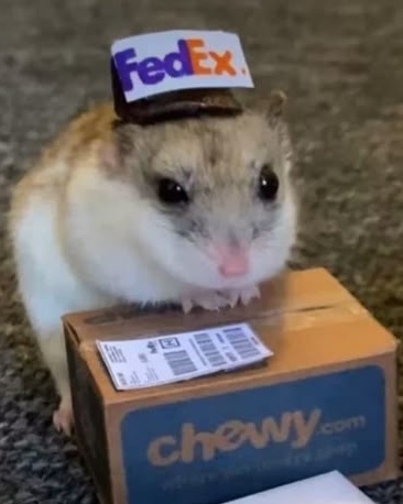 hamster_dilivery_w98
