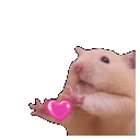 hamster_love_w98