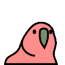 normal_parrot